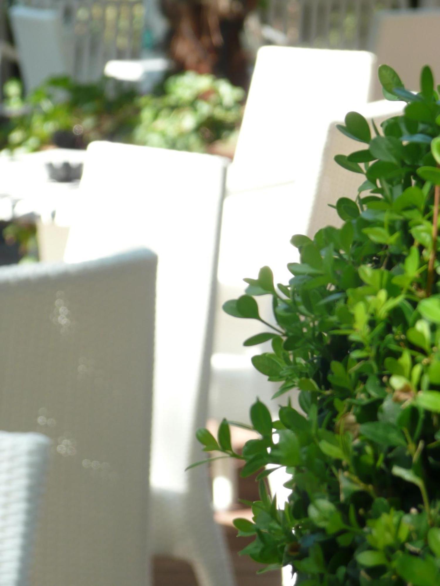 Hotel Flora Milano Marittima Exterior foto